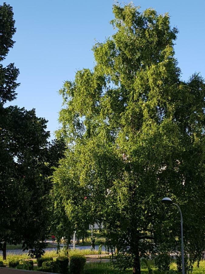 Apartman Tasa Баня-Лука Экстерьер фото